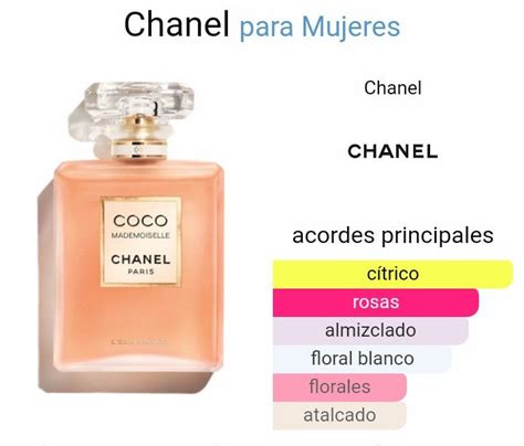 côco mademoiselle chanel notas olfativas|coco mademoiselle perfume chanel.